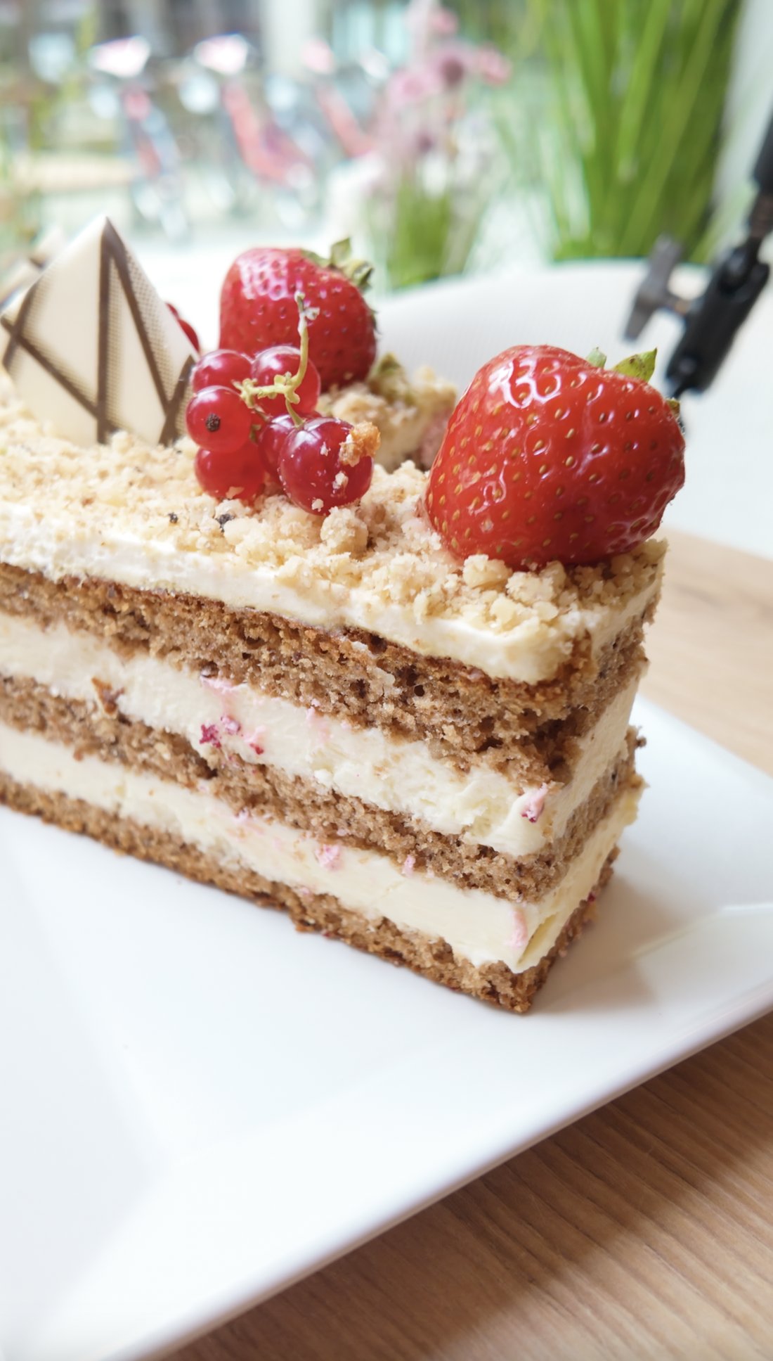 Torte – aktuelle Auswahl
